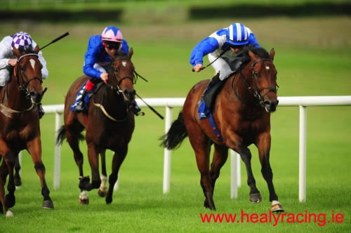 Lightnin Hopkins Naas June 27th 2012